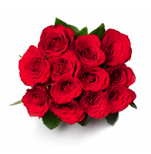 Little Treasure - 12 Roses - Good Morning Gift Flower (500x630), Png Download