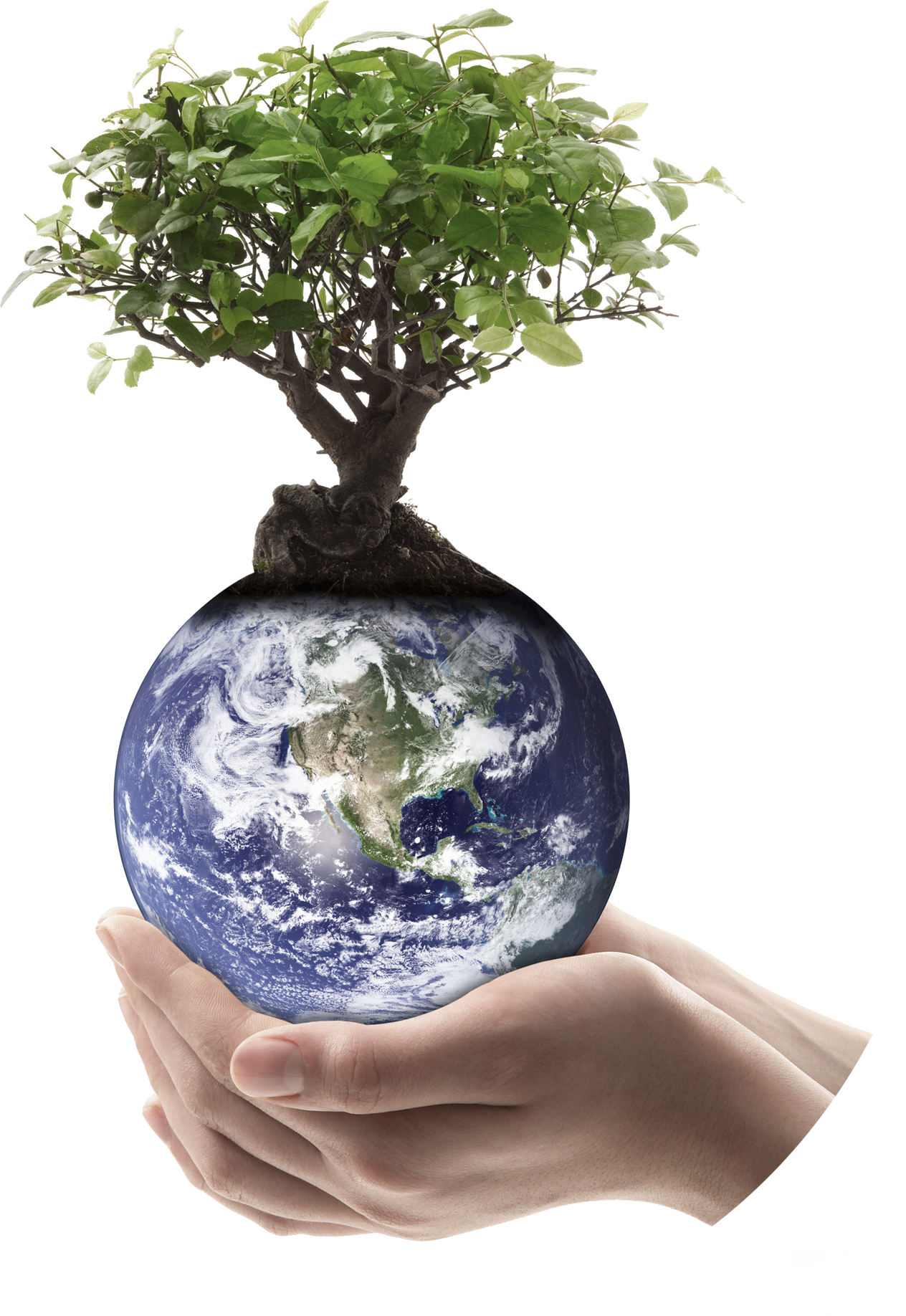 Since 01 - 01 - - Earth (1264x1836), Png Download