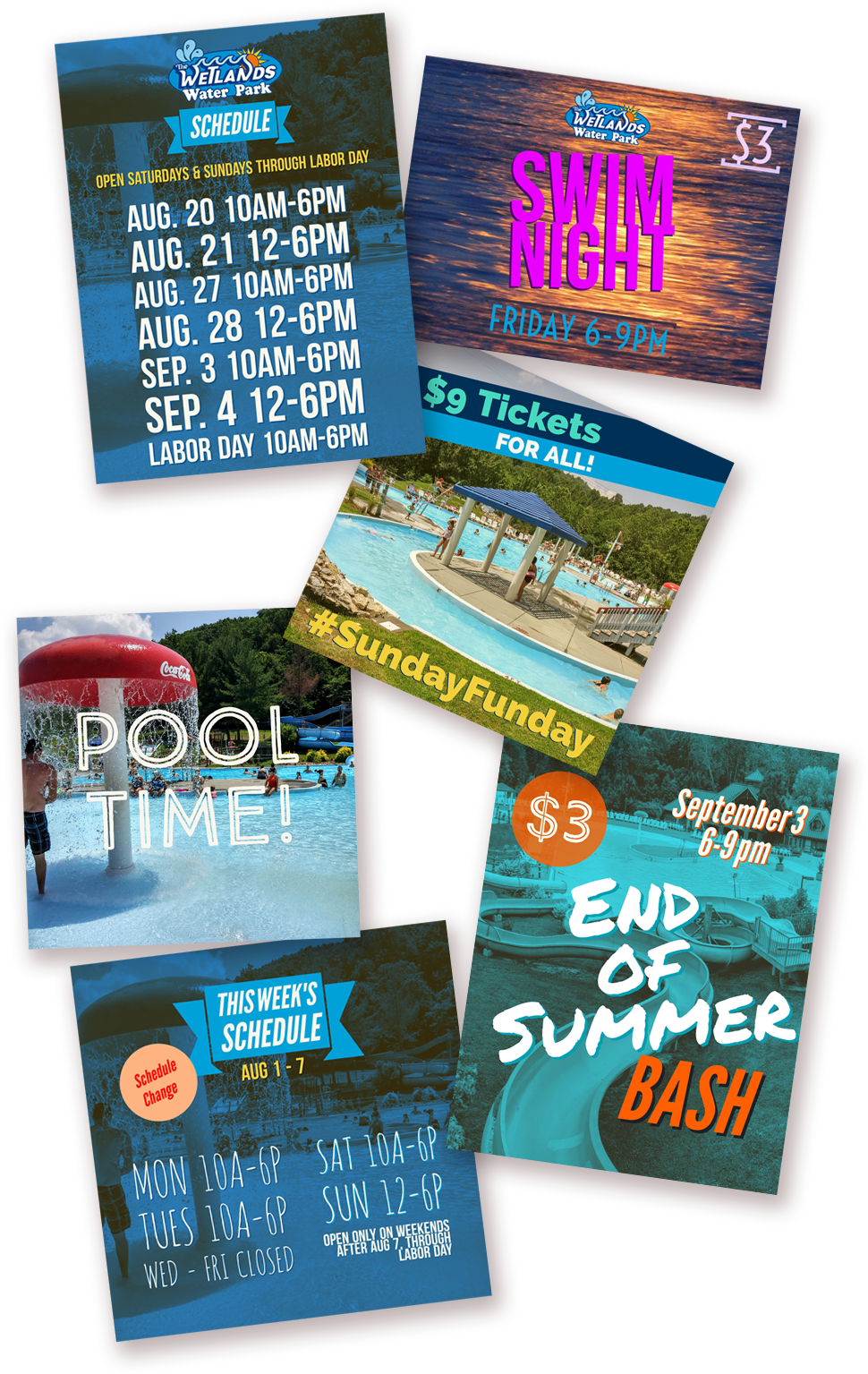 Wetlands Designs - Flyer (970x1535), Png Download