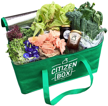 If You Are Away For 4 Weeks Or More, Please Contact - Gift Basket (580x576), Png Download