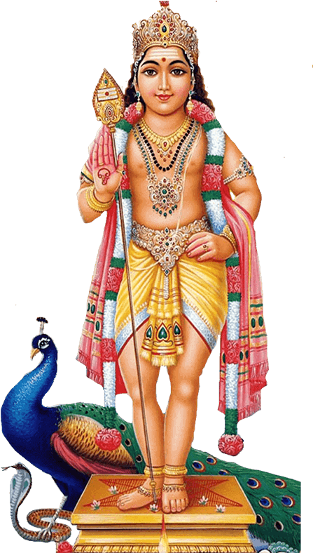Lord Kartikeya - God Murugan (700x800), Png Download