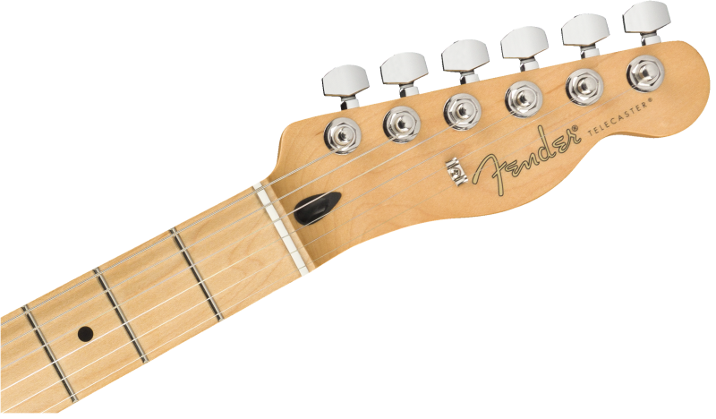 You - American Performer Telecaster Hum (800x468), Png Download