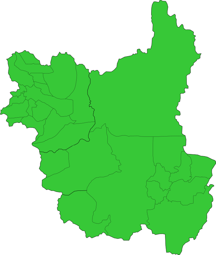 Cameron Highlands - Cameron Highlands By Election (700x826), Png Download