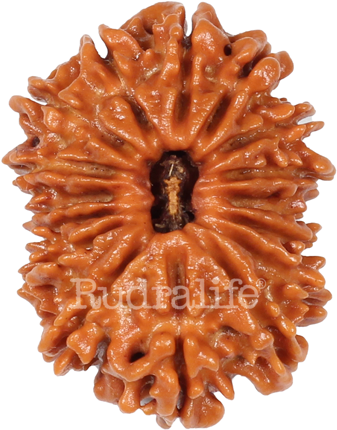 Click To Zoom - Chocolate Cake (1000x1000), Png Download