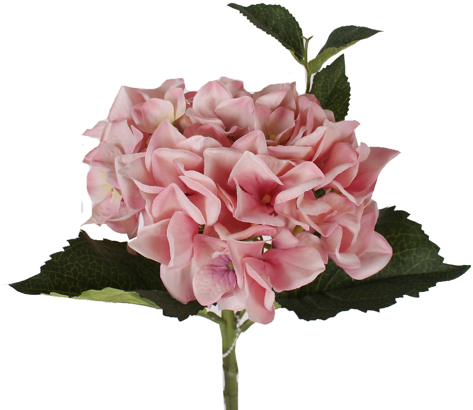 Bouquet (933x809), Png Download