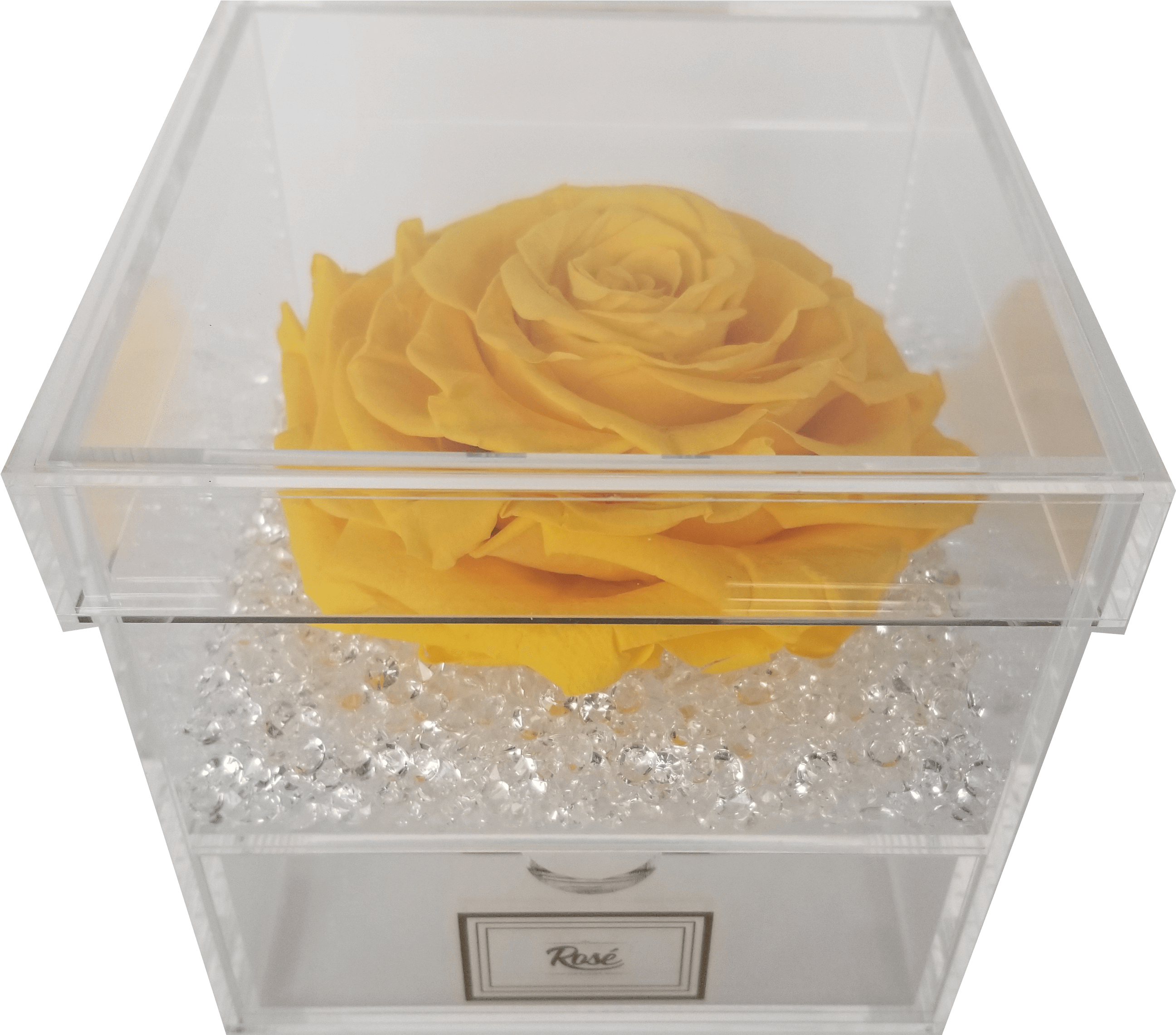Single Rose Keepsake Box (3024x4032), Png Download