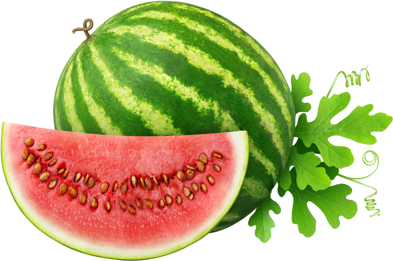 Water Melon - Melon Picture Of Fruits (866x650), Png Download