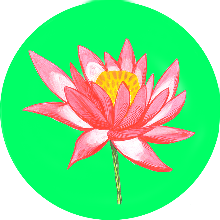 Download Png - Sacred Lotus (709x709), Png Download