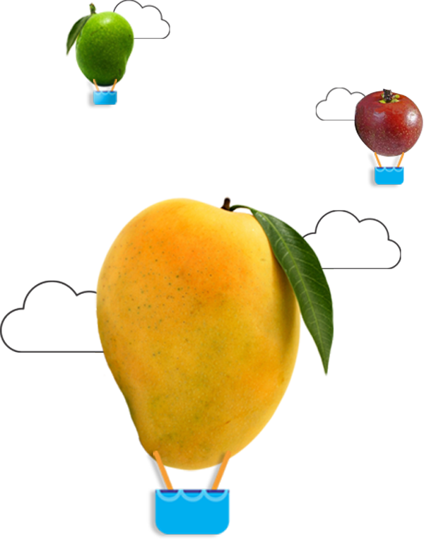 Read More - - Bitter Orange (600x764), Png Download