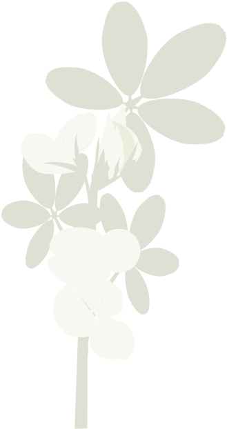 Recurso-lotus - Illustration (700x629), Png Download