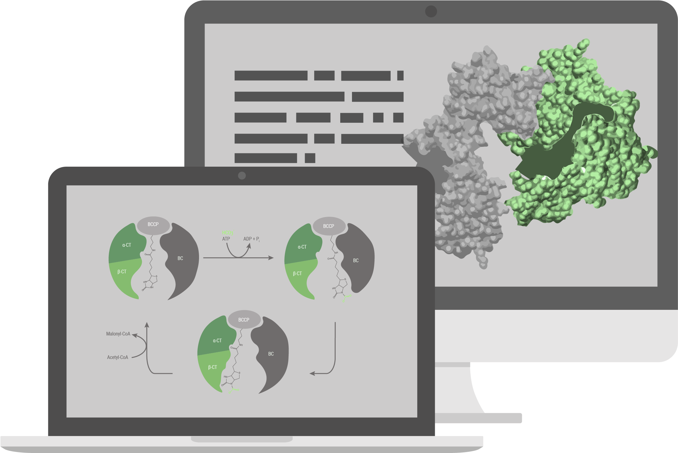 Structural Model - Diagram (2239x1464), Png Download