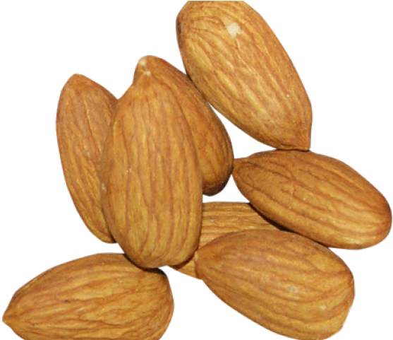 Almond Clipart Dry Fruit - Almond Pics Download (640x480), Png Download