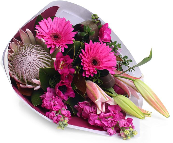 Beautiful Seasonal Pink Bouquet - Barberton Daisy (729x600), Png Download