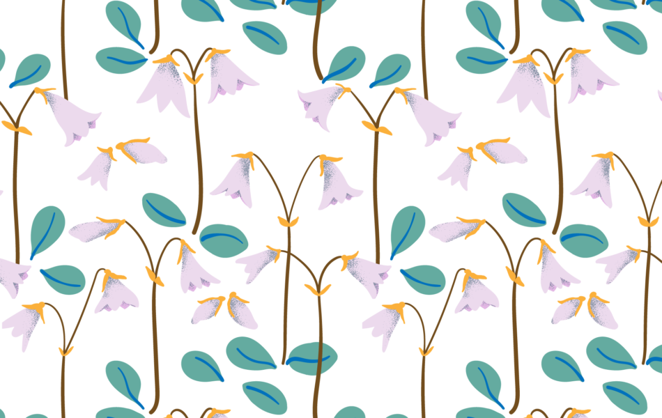 Lisa Edoff Design (950x600), Png Download