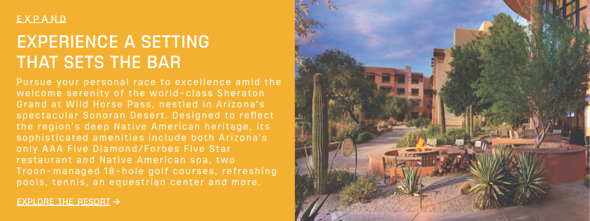 He Specializes In The Strategy, Governance, And Economics - Palm Tree (1200x451), Png Download