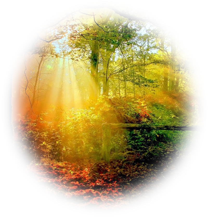Nature Desktop Backgrounds - Autumn (800x834), Png Download