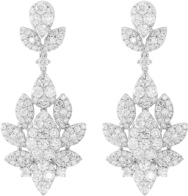 Earrings (800x800), Png Download