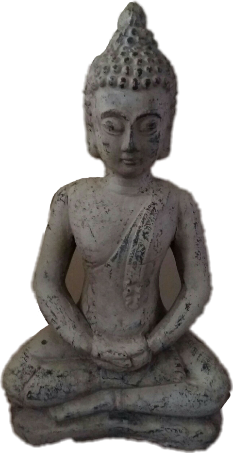 Popular - Gautama Buddha (480x933), Png Download