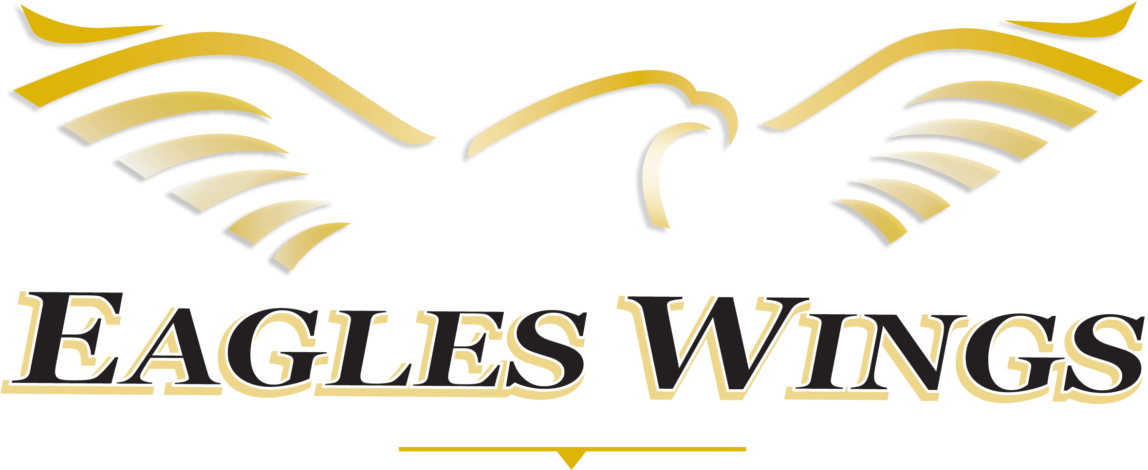 Download Eagle Wings PNG Image with No Background