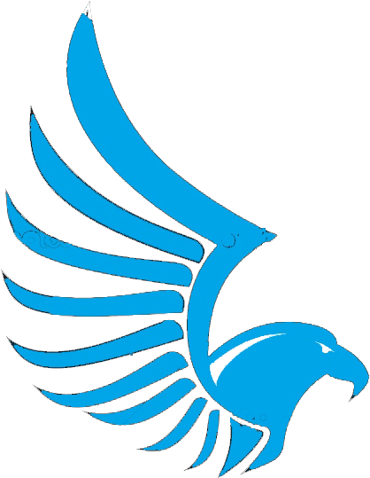 Eagle Wing Insignia - Island Falcon Group Logo (538x604), Png Download