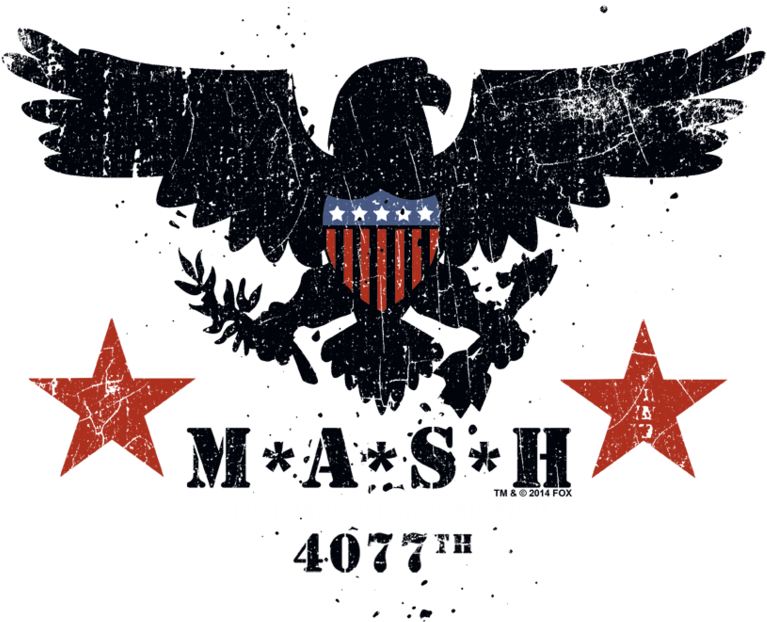 Mash Eagle Juniors T-shirt - Iraq Flag With Eagle (800x659), Png Download
