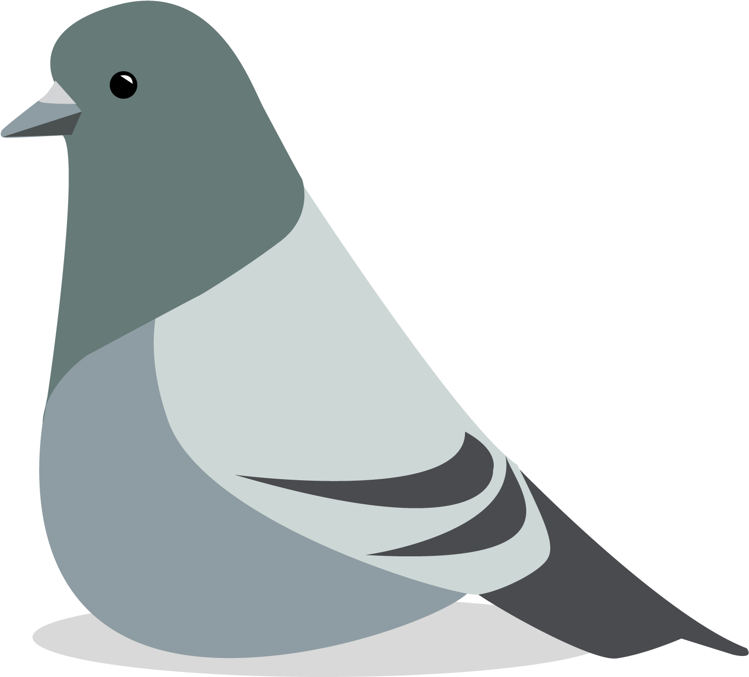 A Clean Vector Image Of Our Mascot 'pete The Pigeon' - Stock Dove (1500x1500), Png Download