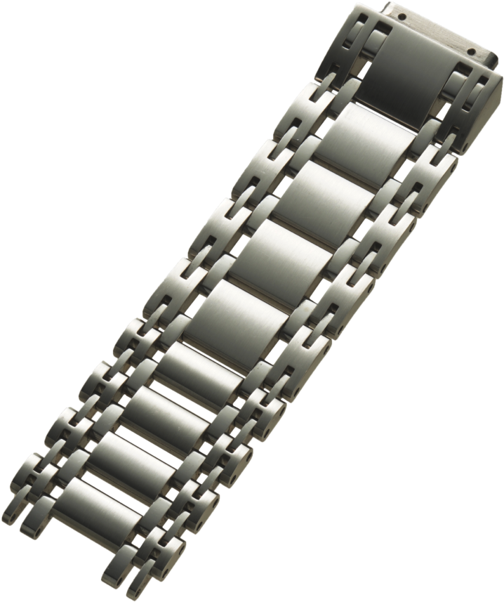 Louisiana Alligator Band With Cites - Chain (839x1024), Png Download