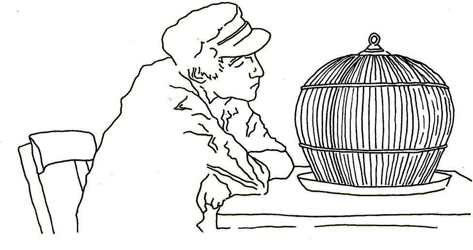 Chili And The Whalekillers Birdcage - Sketch (975x516), Png Download