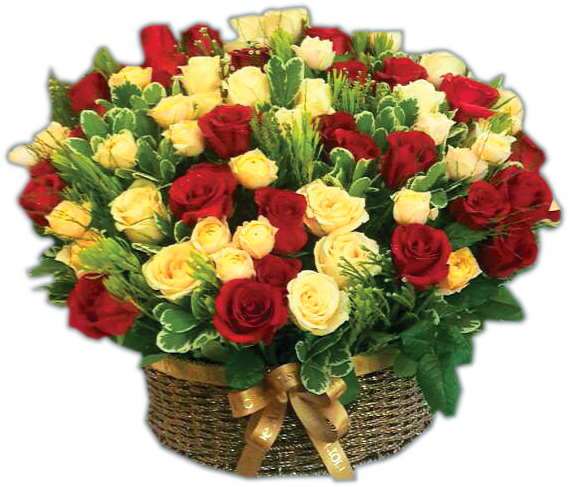 Gof 8001 - Garden Roses (607x723), Png Download