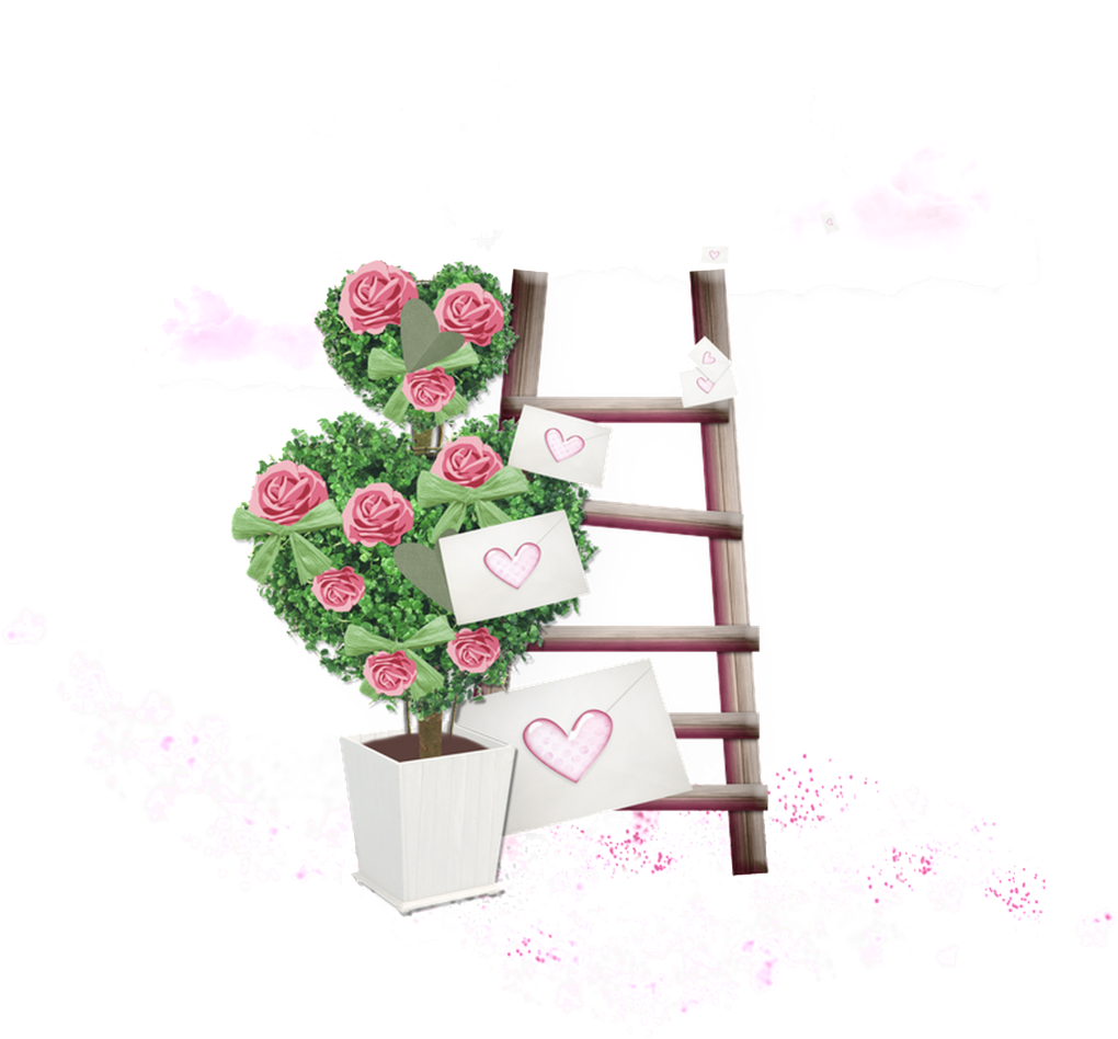 Floral Love Flower Transparent - Shelf (1024x1038), Png Download