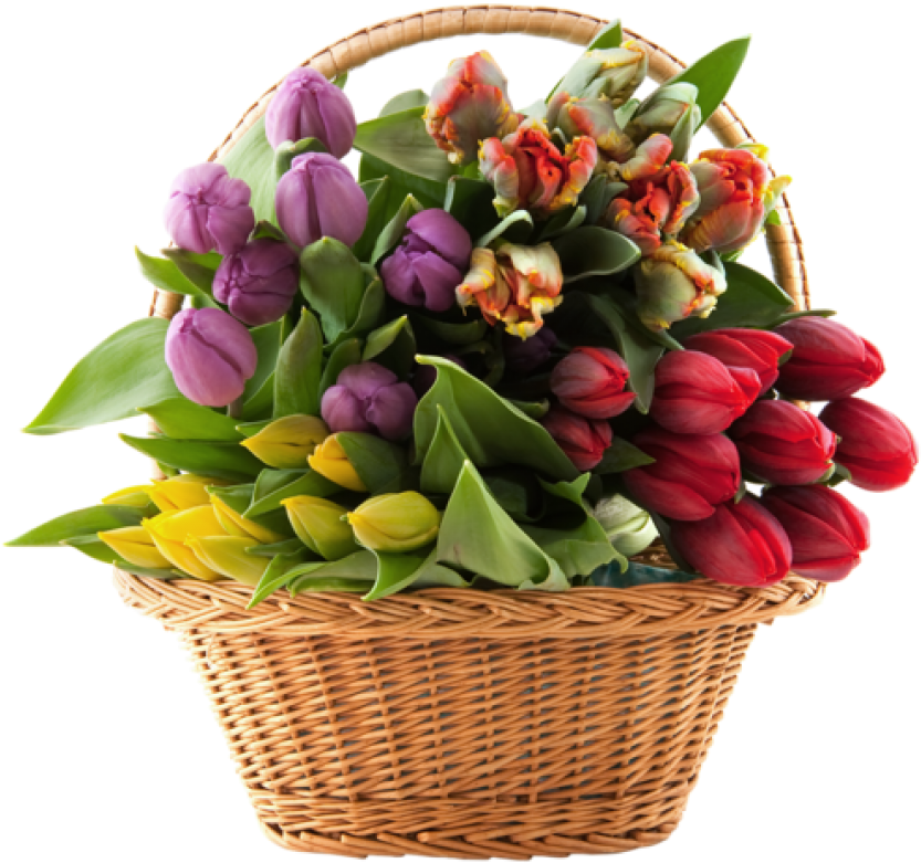 Free Png Download Transparent Basket With Tulips Png - Basket Of Flowers Free (850x842), Png Download