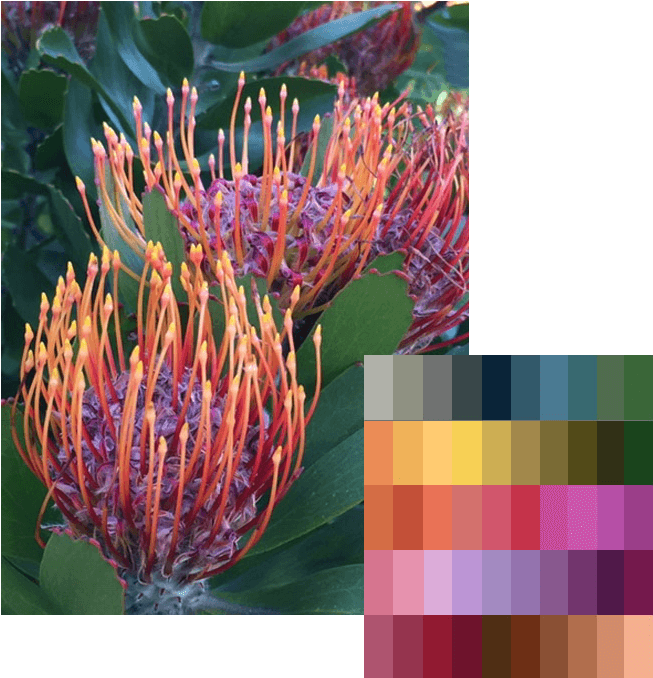 Last Month, We Introduced Our Latest Grand Bundle, - Grevillea 'honey Gem' (665x684), Png Download