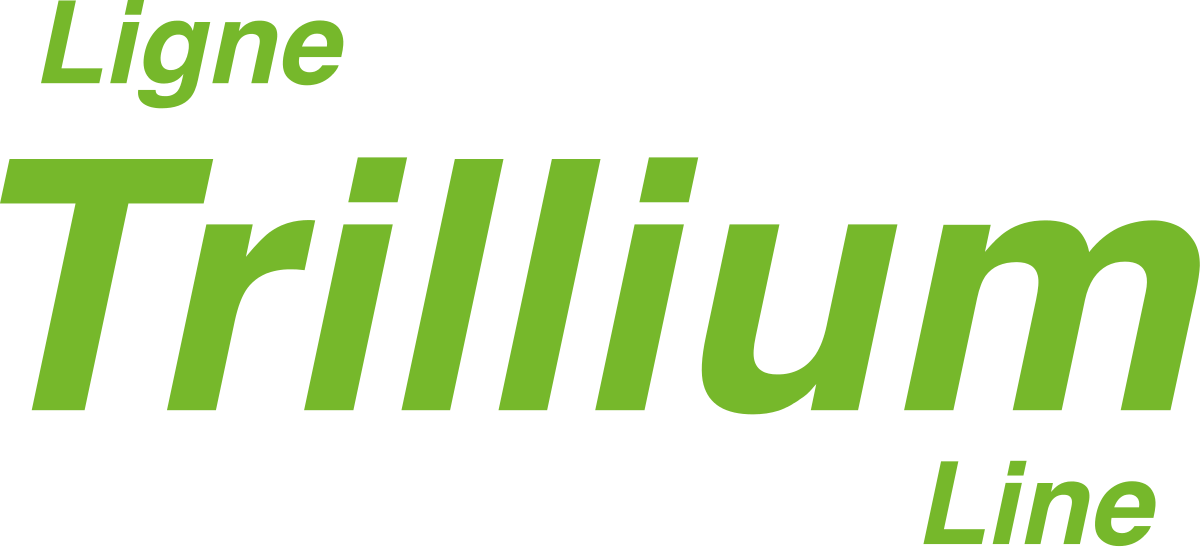 Green Check Mark Trillium Line - Graphic Design (1200x547), Png Download