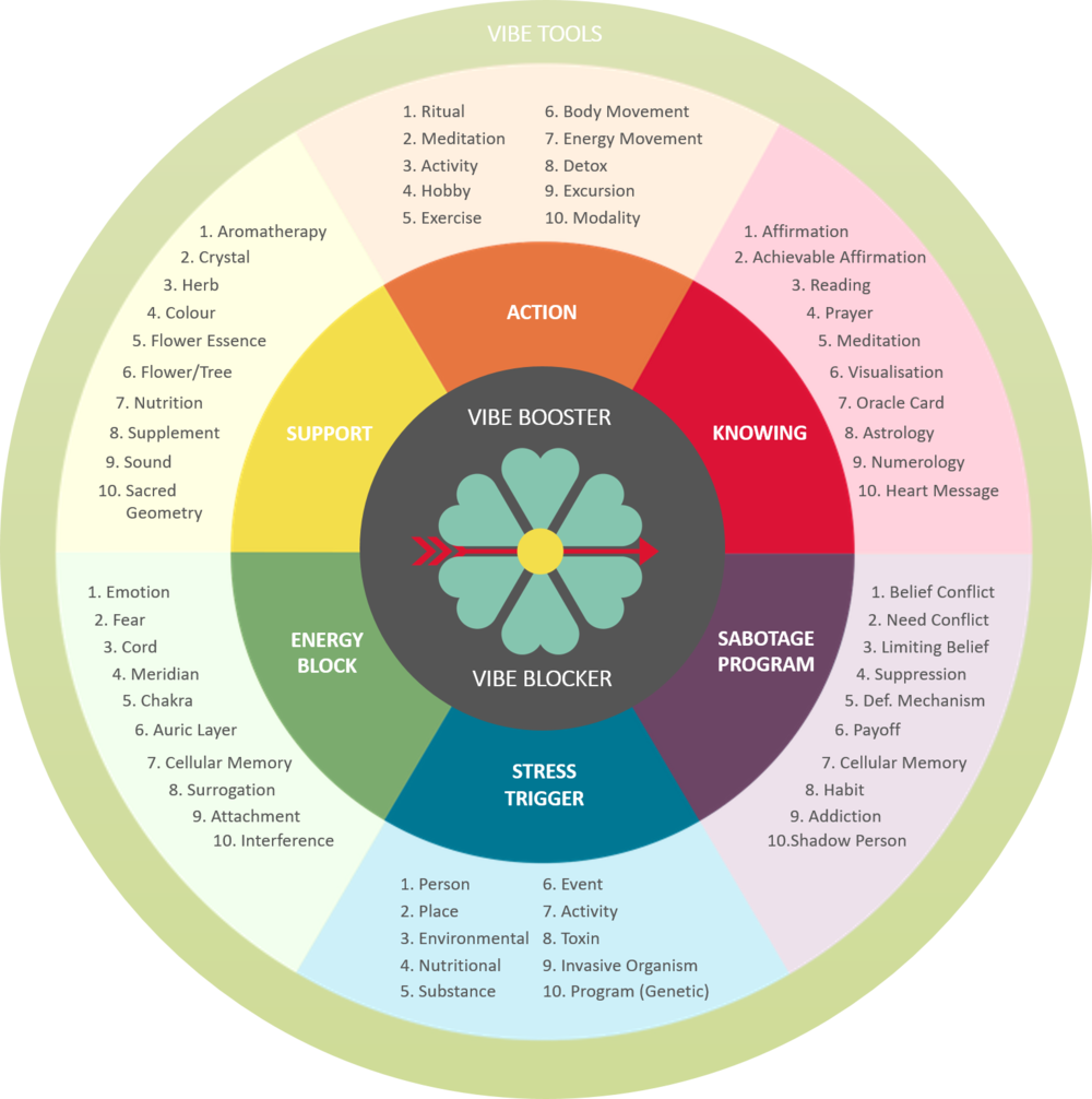 Amv Chart - Circle (1000x1006), Png Download
