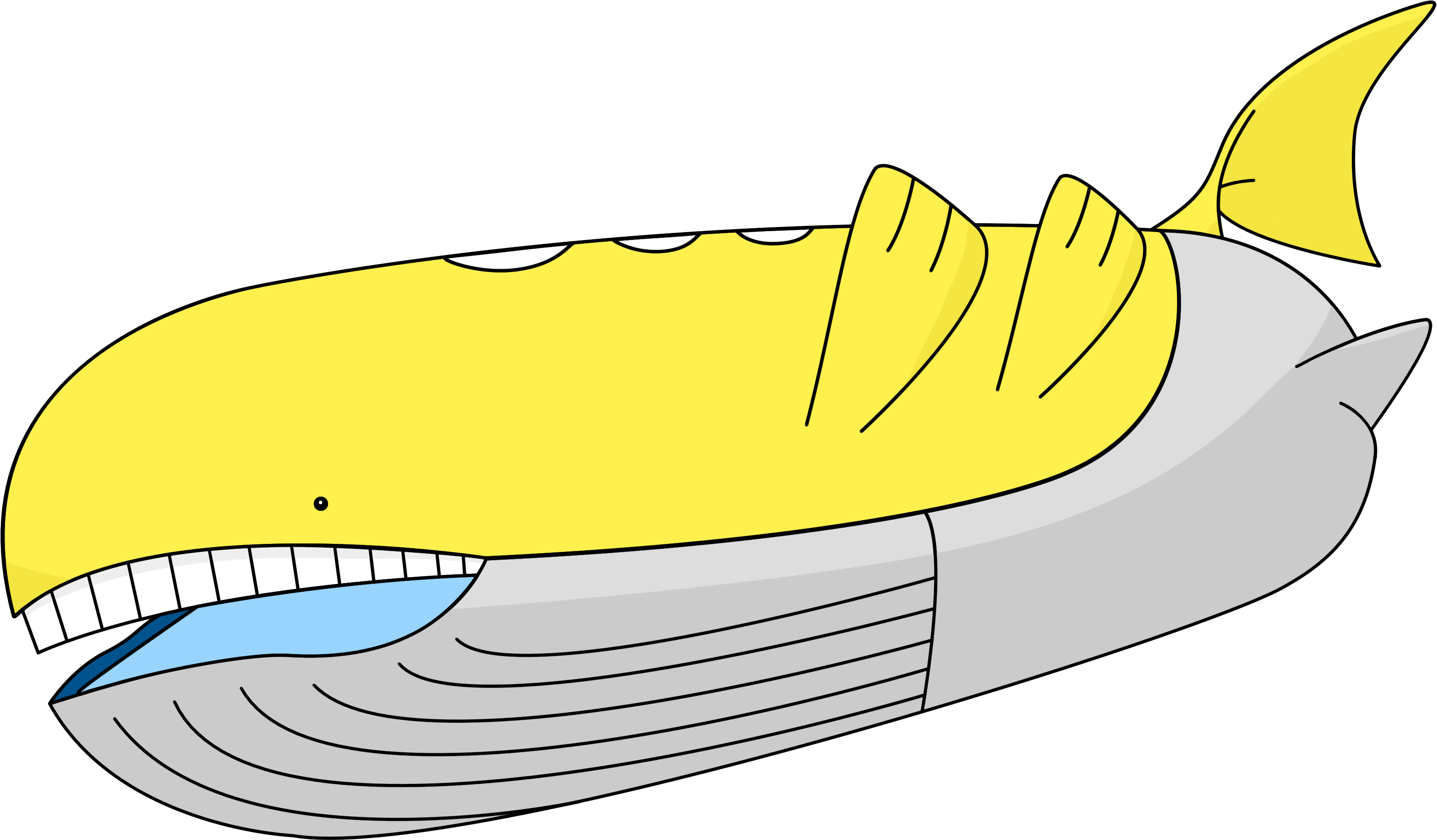 Whale , - Illustration (4000x2250), Png Download