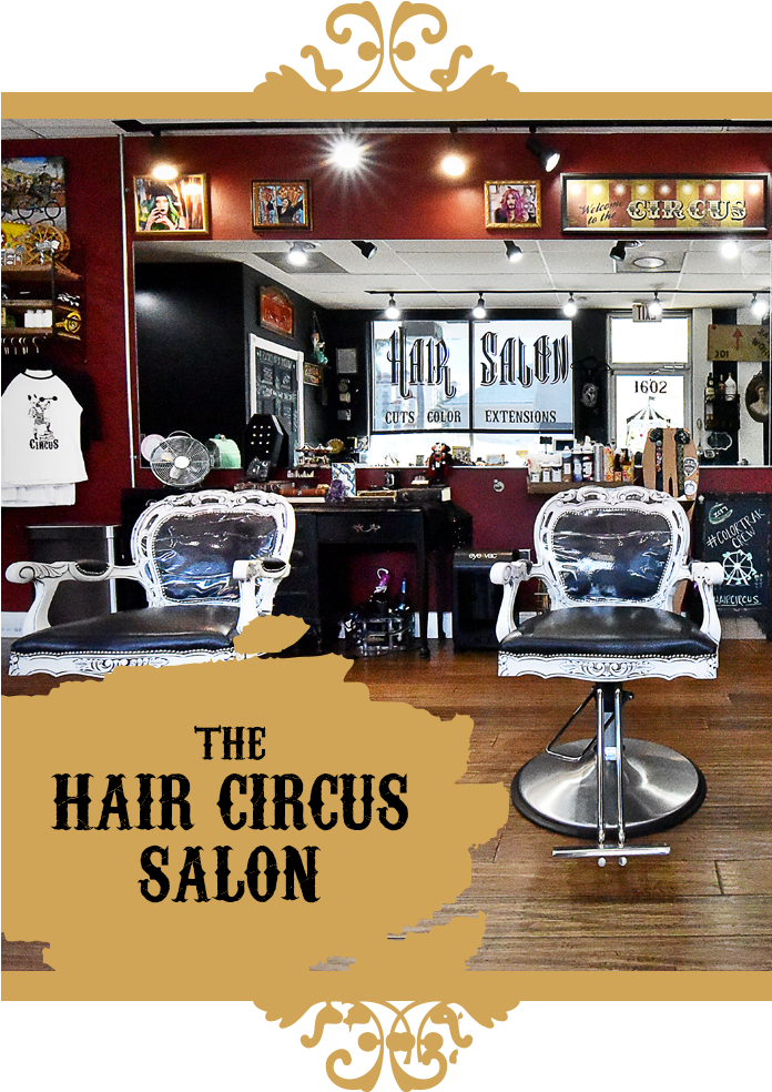 Hair Circus Salon (717x990), Png Download