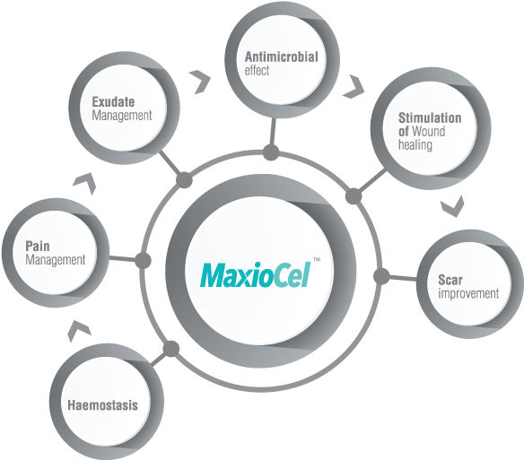 100% Chitosan - Circle (842x595), Png Download