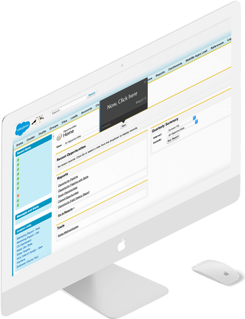 Using Salesforce® Has Never Been Easier - Walk Me Salesforce (484x675), Png Download
