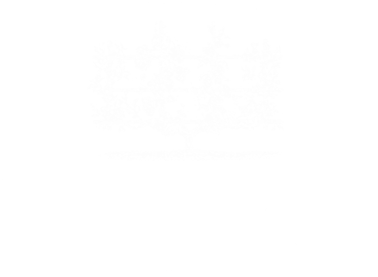 Scb Logo - Graphic Design (800x597), Png Download