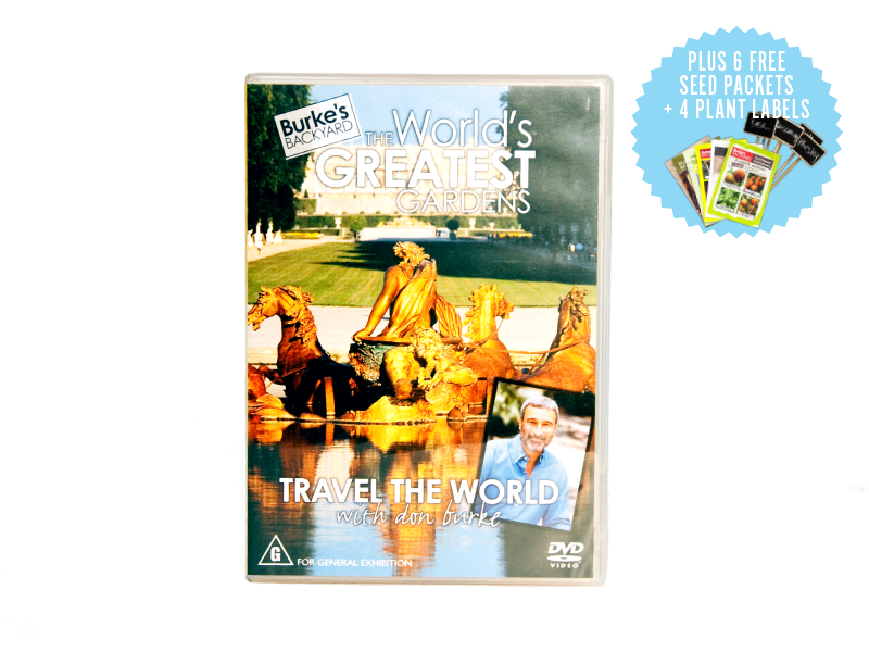 The - Poster (800x600), Png Download