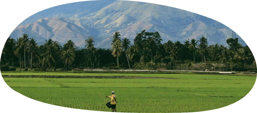 Good Luck, Bad Luck Who Knows Paul Egan - Agriculturist (1048x460), Png Download