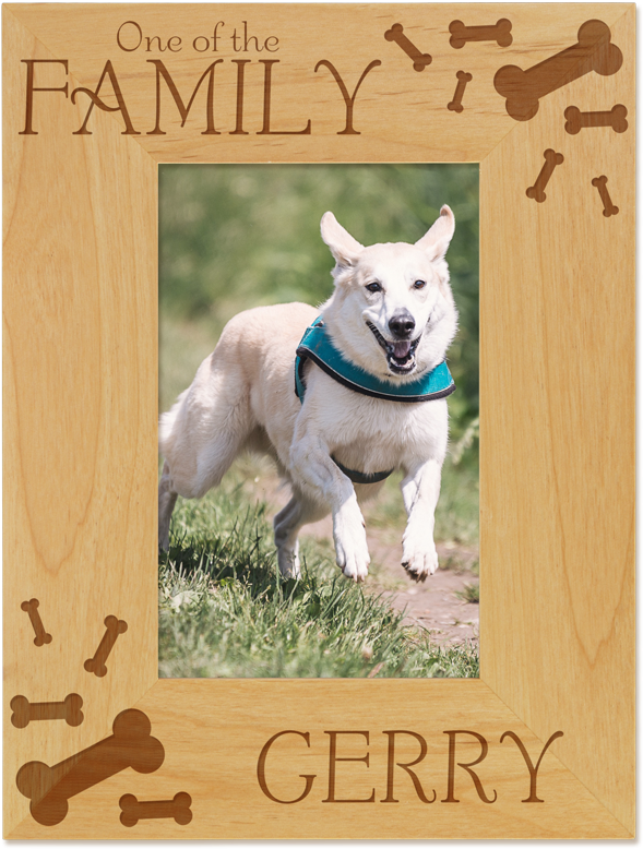 One Of The Family Picture Frame From Giftsin24 - Meaning Of Barking Dogs Seldom Bite (801x801), Png Download