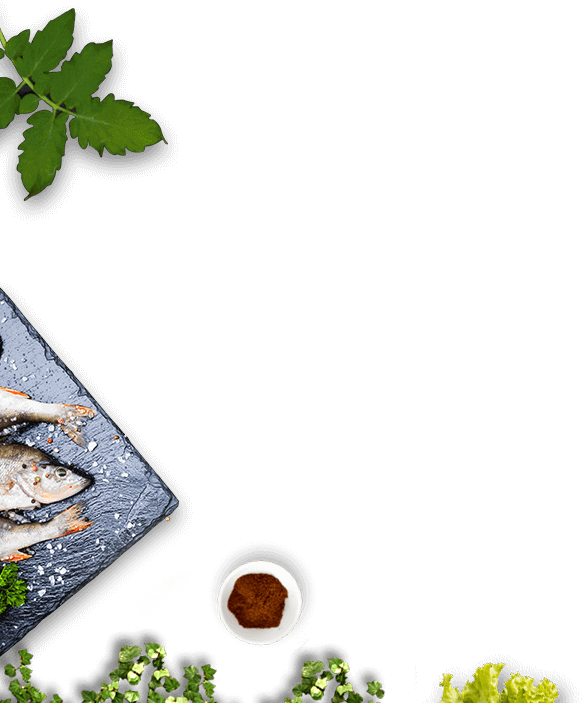 Best Non Veg Restaurants In Malleshwaram - Maple Leaf (582x703), Png Download