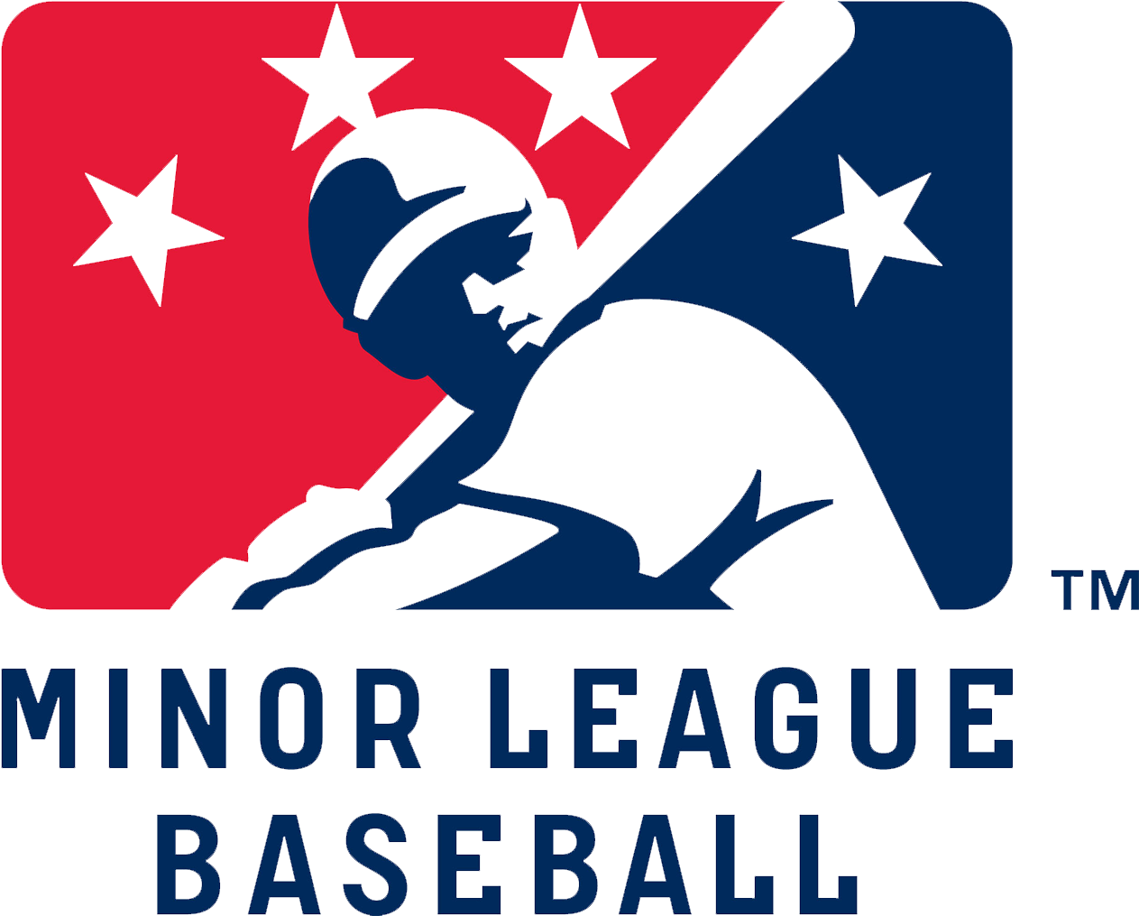 On The One Hand, The Logo Of Minor League Baseball - Minor League Baseball Logo Png (1920x1080), Png Download