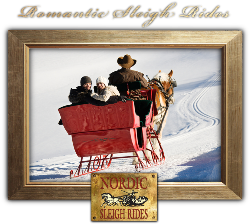 Looking For The Perfect First Date Or A Unique Way - Ride A Sleigh (900x757), Png Download