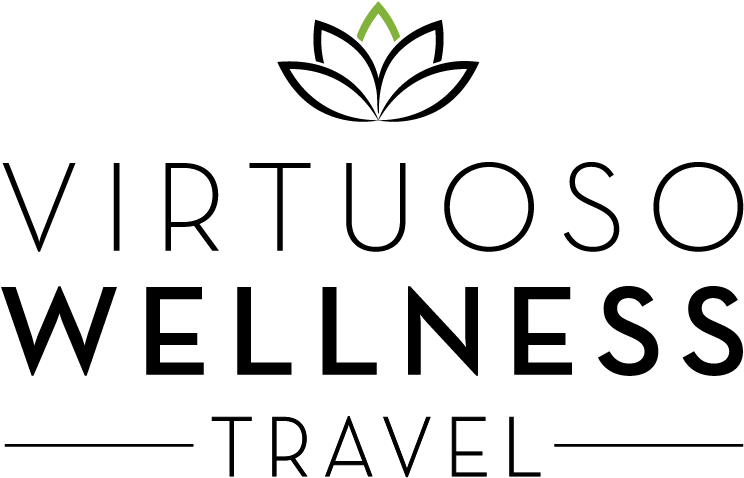 Virwellness Final Logo Mar2017 - Graphics (900x600), Png Download