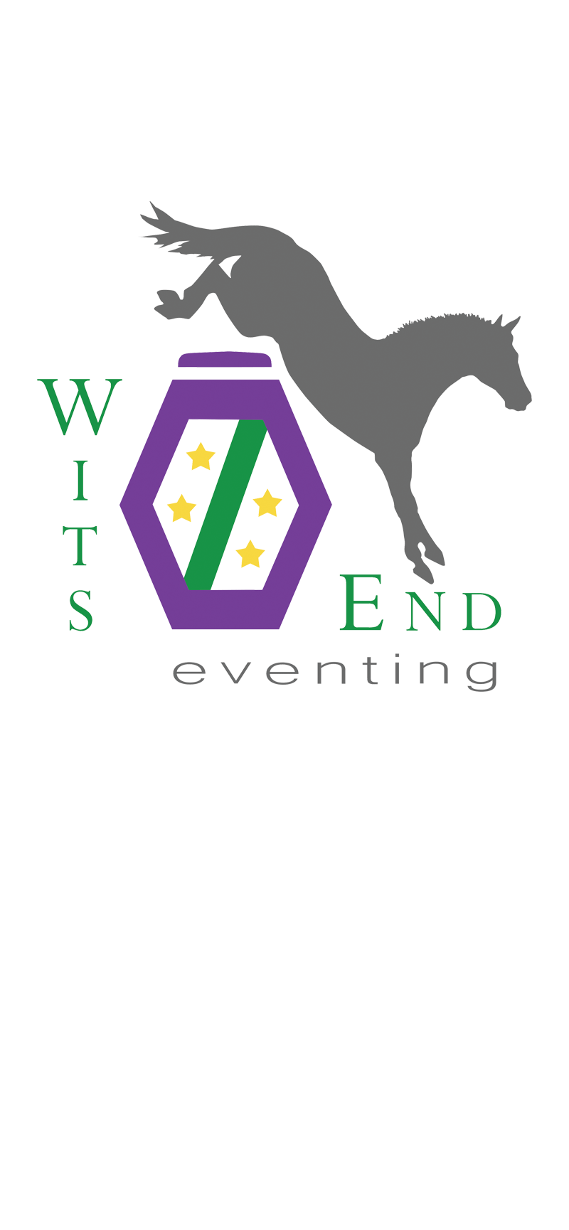 Wits End Eventing Logo By Eq Graphics Custom Horse - Mane (800x1730), Png Download