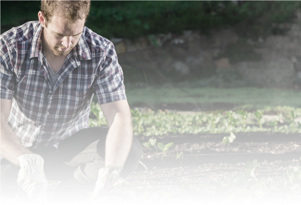 Gardening Gloves/a A Safety Products - Planting And Harvesting (1000x700), Png Download