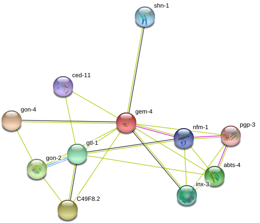 Circle (975x478), Png Download