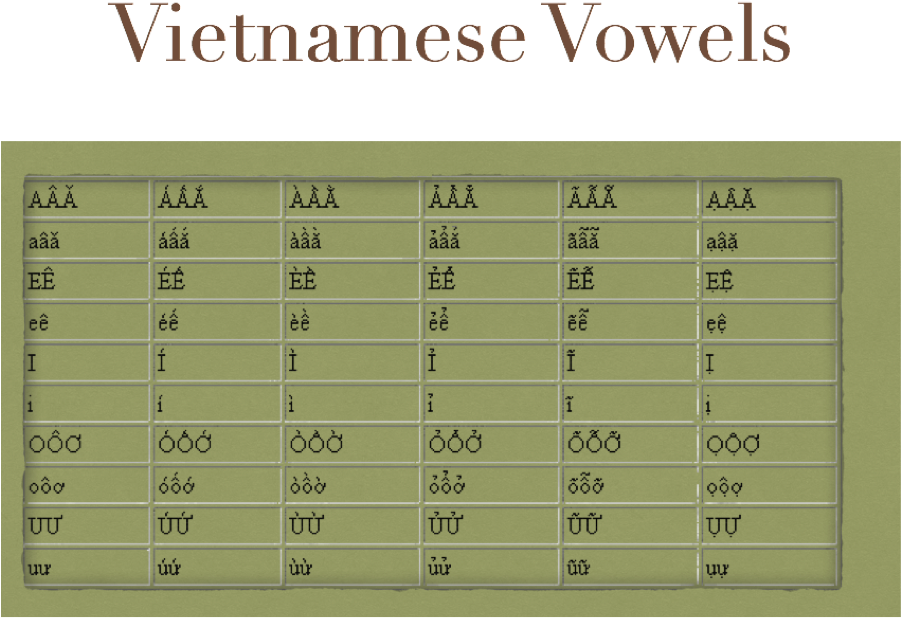 V - Anna Cecere (900x681), Png Download